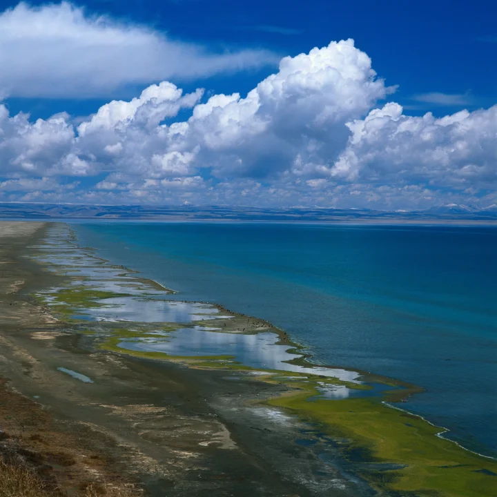 湛蓝湖水延伸至远方，前景是湿地湖岸，天空中铺展着层叠的白色积云。