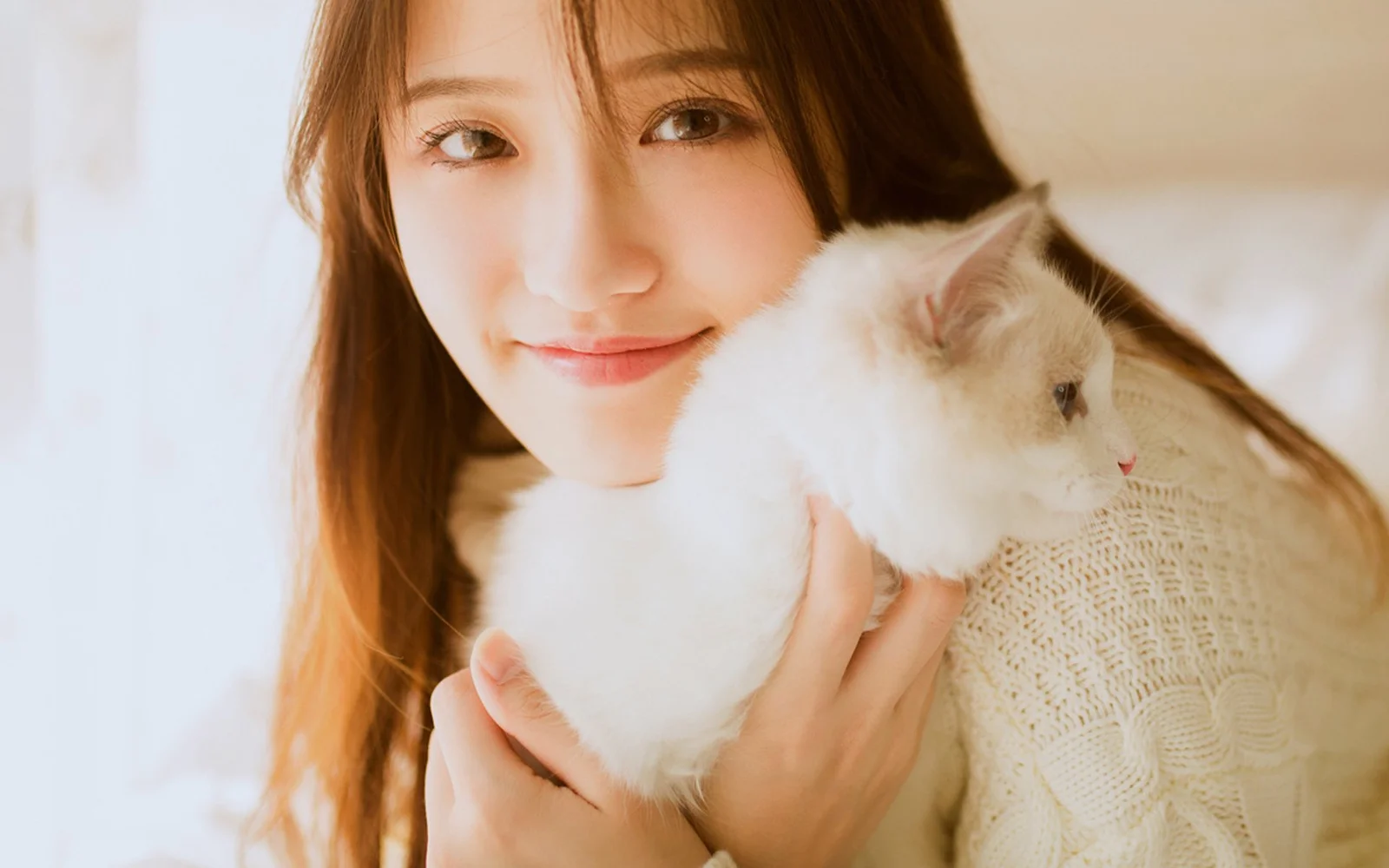 笑顔の女性が、柔らかな暖色の光の中で白い猫を抱いている。