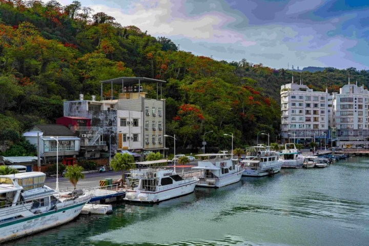 一处山坡环绕的海湾港口停泊着多艘船只，岸边分布着道路和建筑。