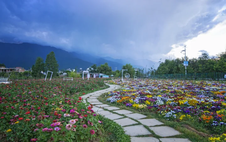 一条石板小路穿过盛开的花田，远处是群山和阴云天空。