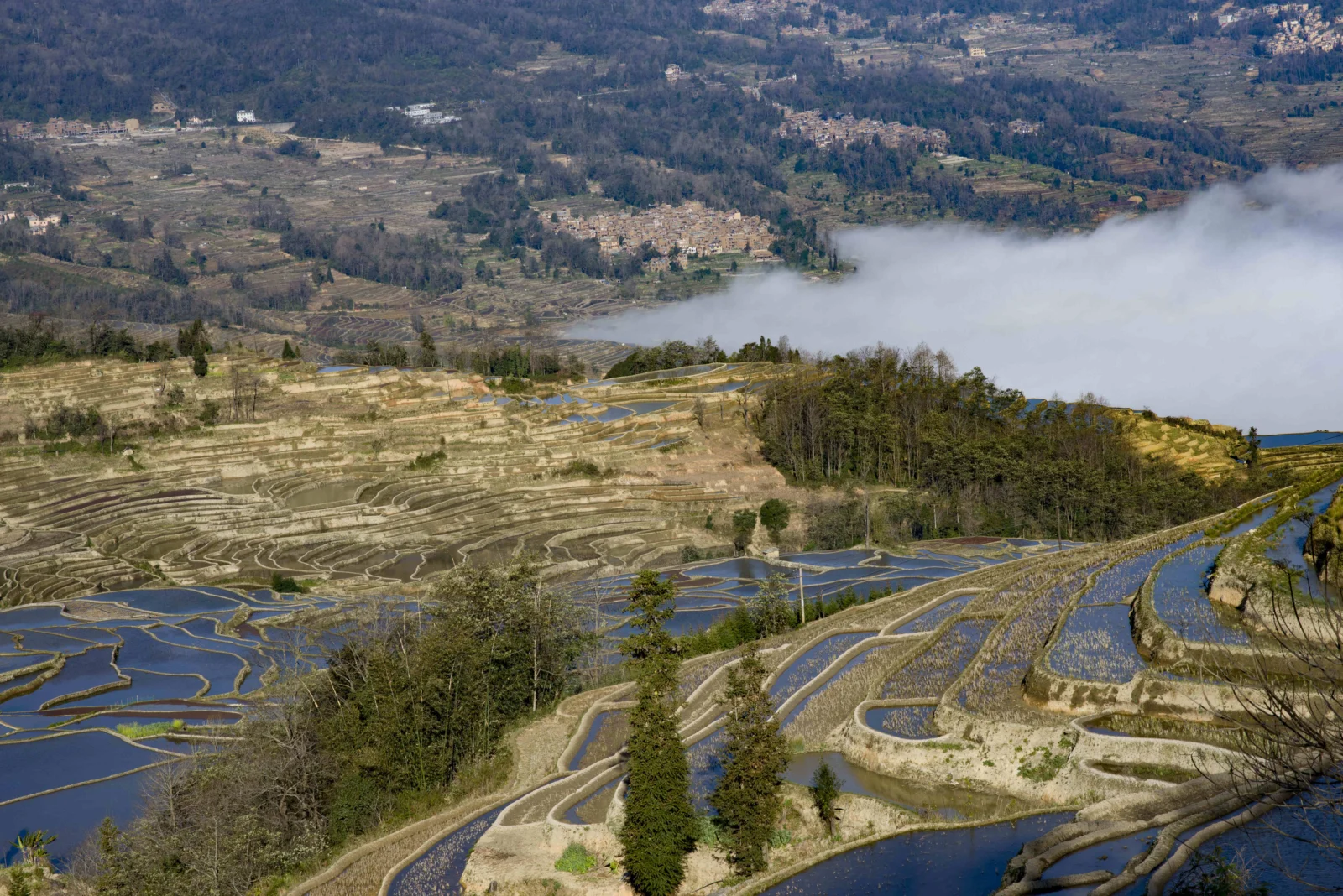 层叠的梯田、山林、水面与雾气构成宁静的山间景色。