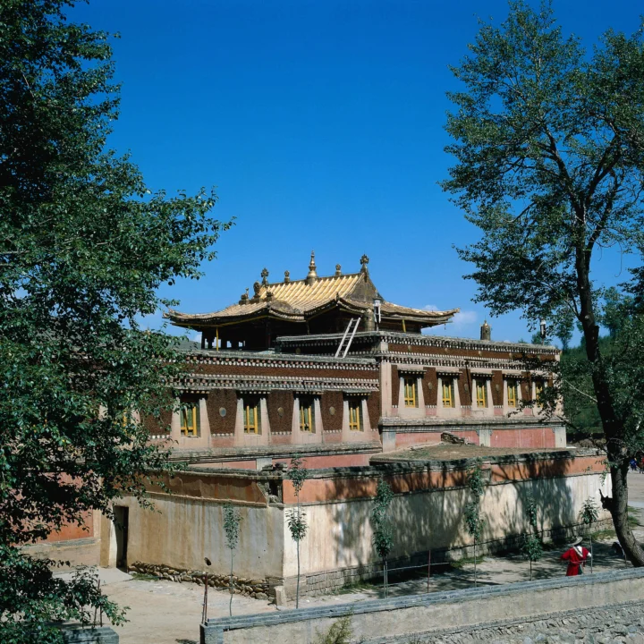 一座传统中式古建筑掩映在树木之间，屋顶在晴朗蓝天下清晰可见。