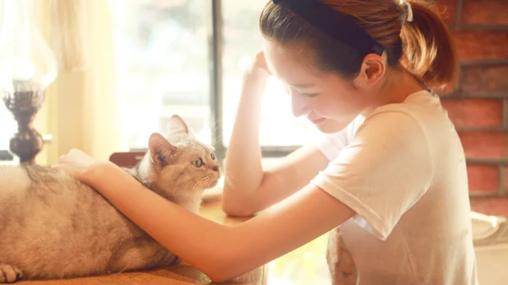 一名成年女性在明亮的窗边抚摸一只猫。