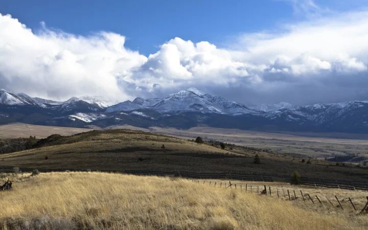 金色草坡延伸至开阔山谷，远处的雪山与厚重云层构成壮丽景色。