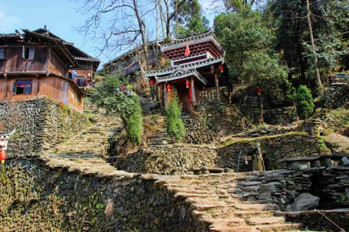 山林间蜿蜒的石板路通向掩映在树木中的传统木石建筑。