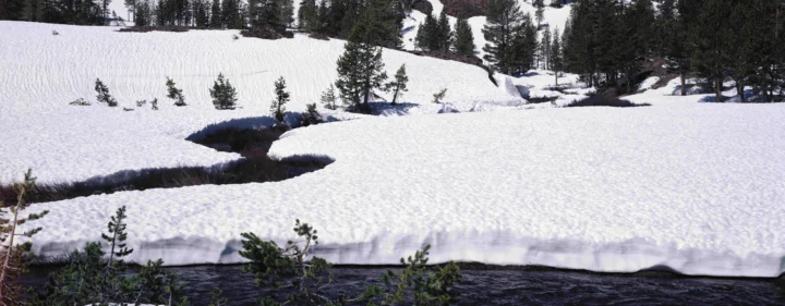 白雪覆盖的山坡间，一条深色溪流蜿蜒穿过松树。