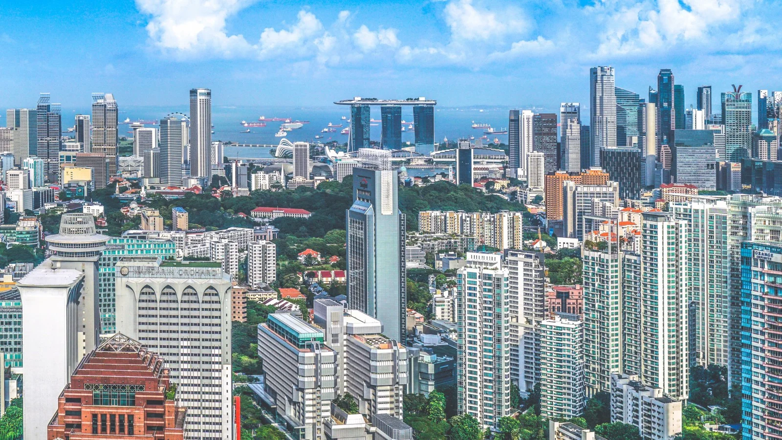 晴朗天空下，现代高楼、密集住宅建筑与港湾构成繁华的城市全景。