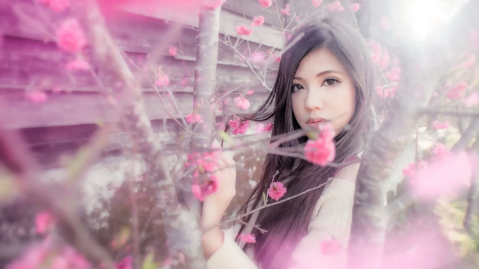 一名女子站在盛开的粉色花枝间，柔和光线营造出朦胧唯美的氛围。