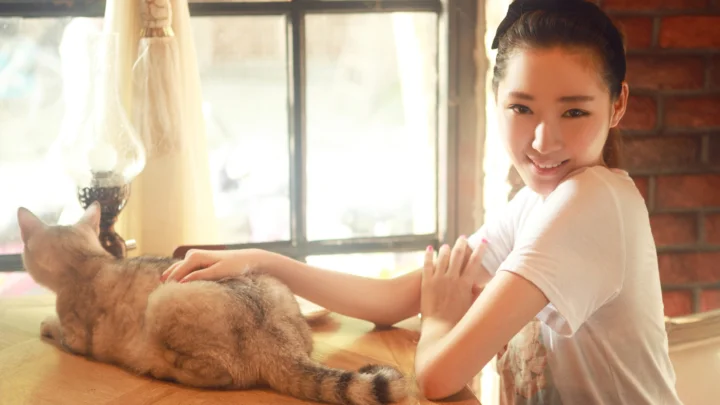 一名女子在室内窗边抚摸一只躺在桌上的猫。