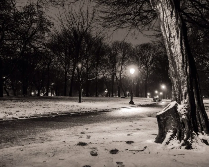 积雪覆盖的公园小径在夜间路灯的照耀下穿过一片光秃的树林。