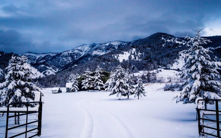 白雪覆盖的山谷、松树和山脉在阴云天空下组成宁静的冬日风景。