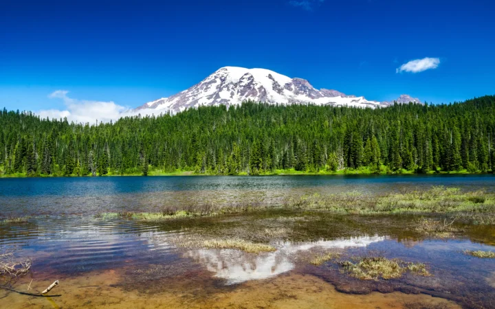 雪をいただく山と針葉樹の森、静かな湖が広がる自然風景。