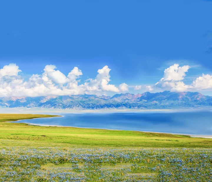 湛蓝天空下，湖泊、天山山脉与开满蓝色小花的绿色草地相映成景。