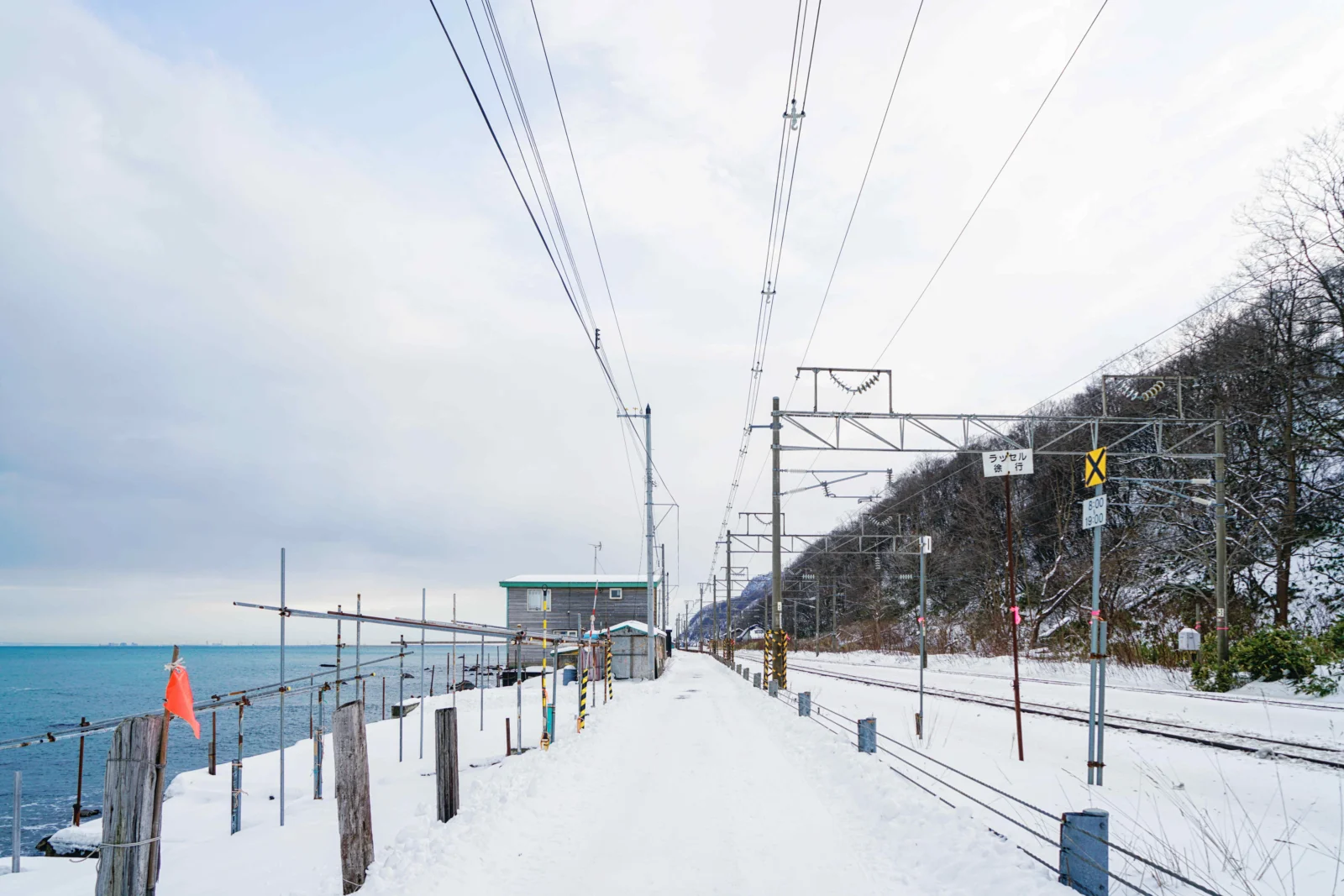 雪に覆われた海岸沿いに線路と架線が伸び、淡い冬空が広がっています。