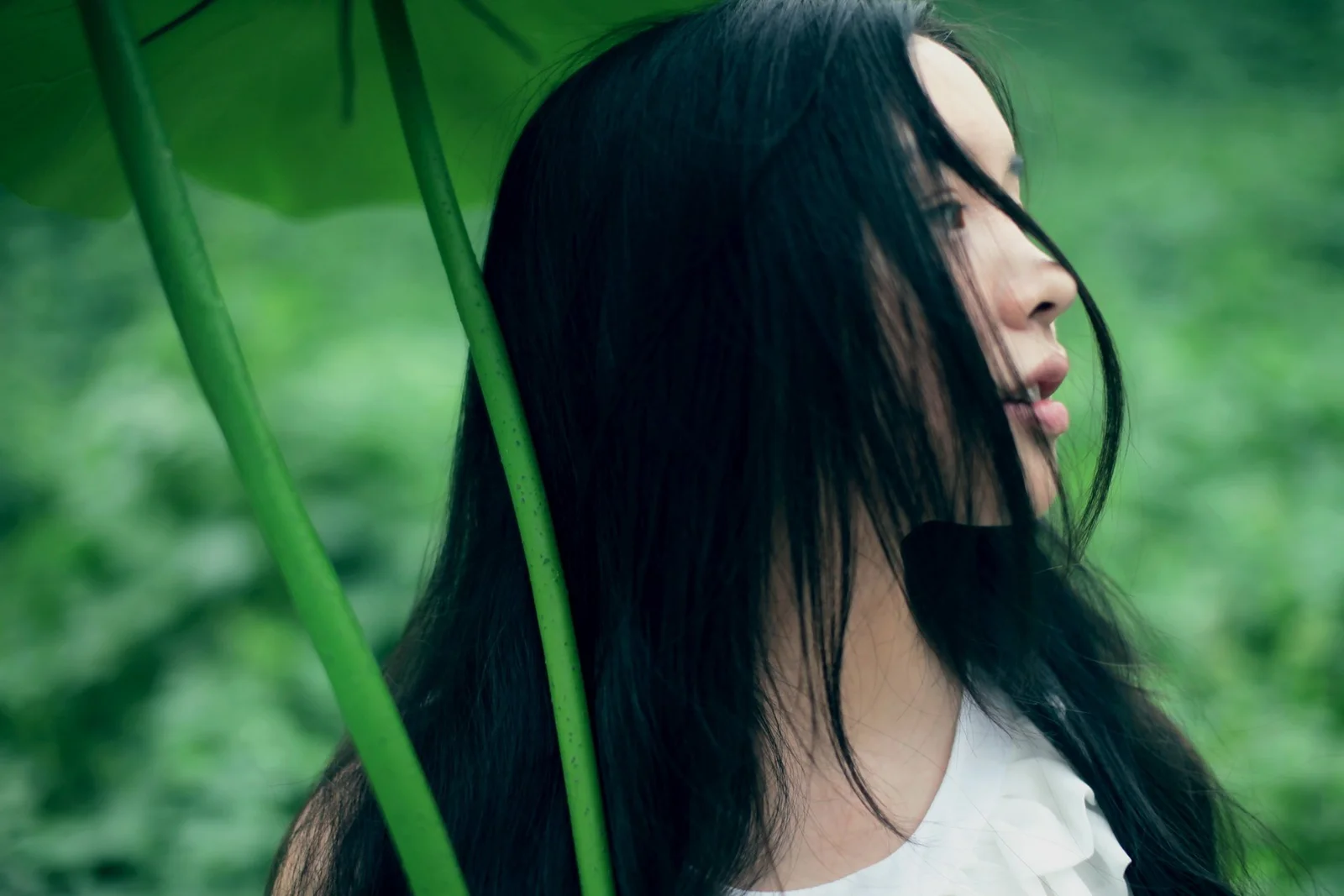 長い黒髪の女性が緑の葉に囲まれて横顔を見せている。