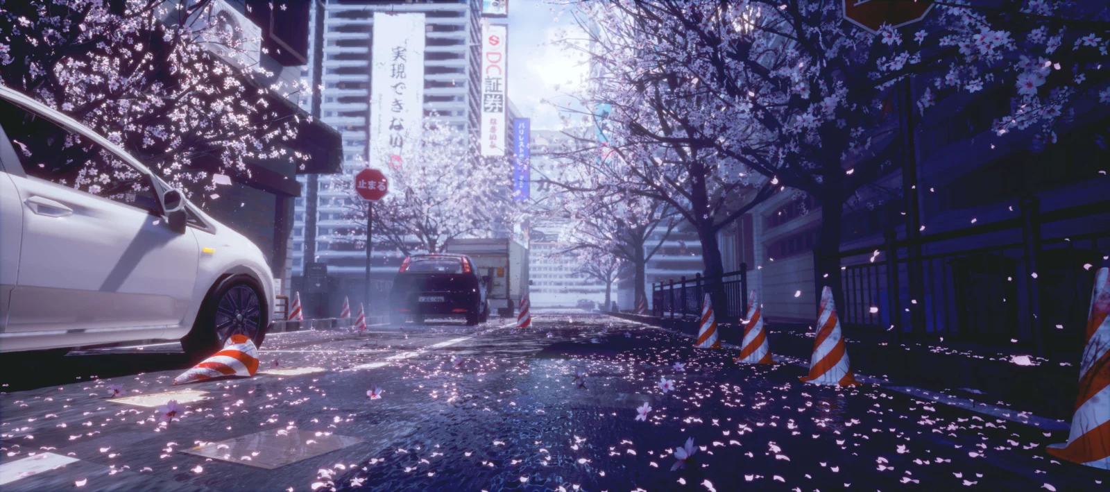 桜の木が並ぶ都市の通りに花びらが広がり、車とカラーコーンが見える。