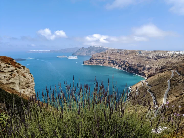 蓝色海湾、层叠悬崖与前景植物构成圣托里尼的海岸风景。
