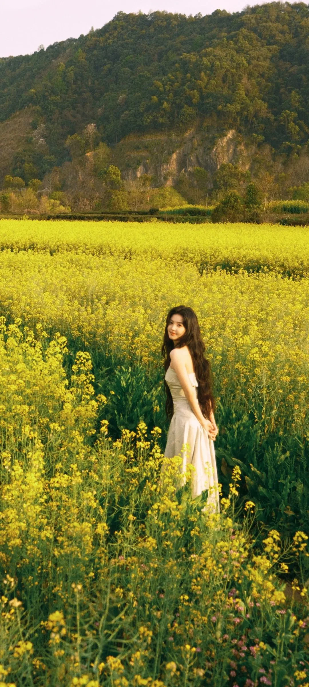 一名女子站在盛开的黄色花田中，远处是绿树覆盖的山坡。
