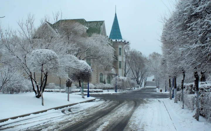 积雪覆盖的街道两旁排列着覆雪树木，远处是一座带尖顶的建筑。