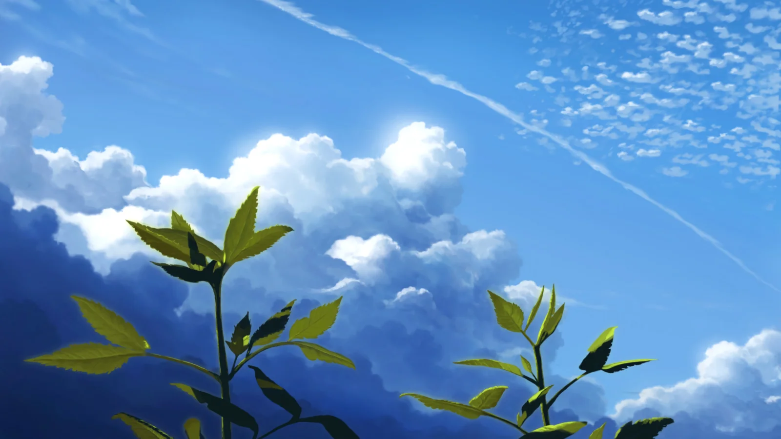 蓝天白云下，几株绿叶植物伸向天空。