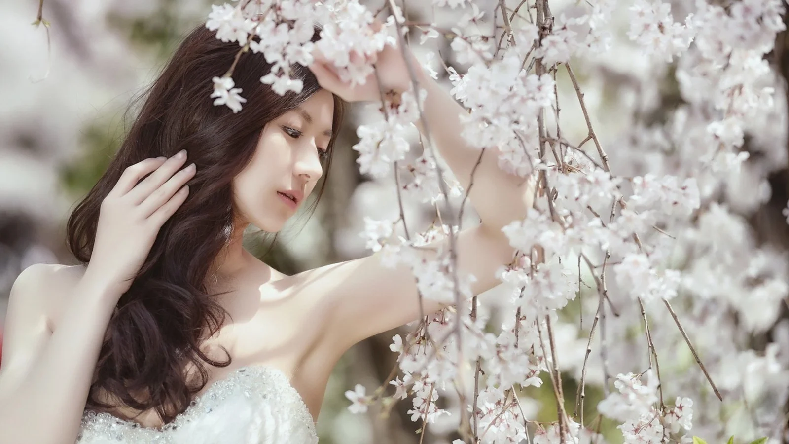 一位成年女子站在盛开的樱花枝旁，柔和光线映照出优雅的户外人像。