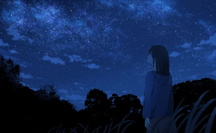 夜空下，一名动漫人物站在深色草丛旁，背景布满繁星。