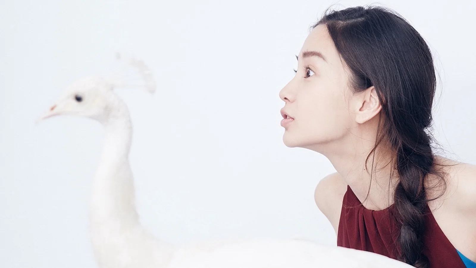一名女子侧面对着一只白鹅，置于明亮的浅色背景前。