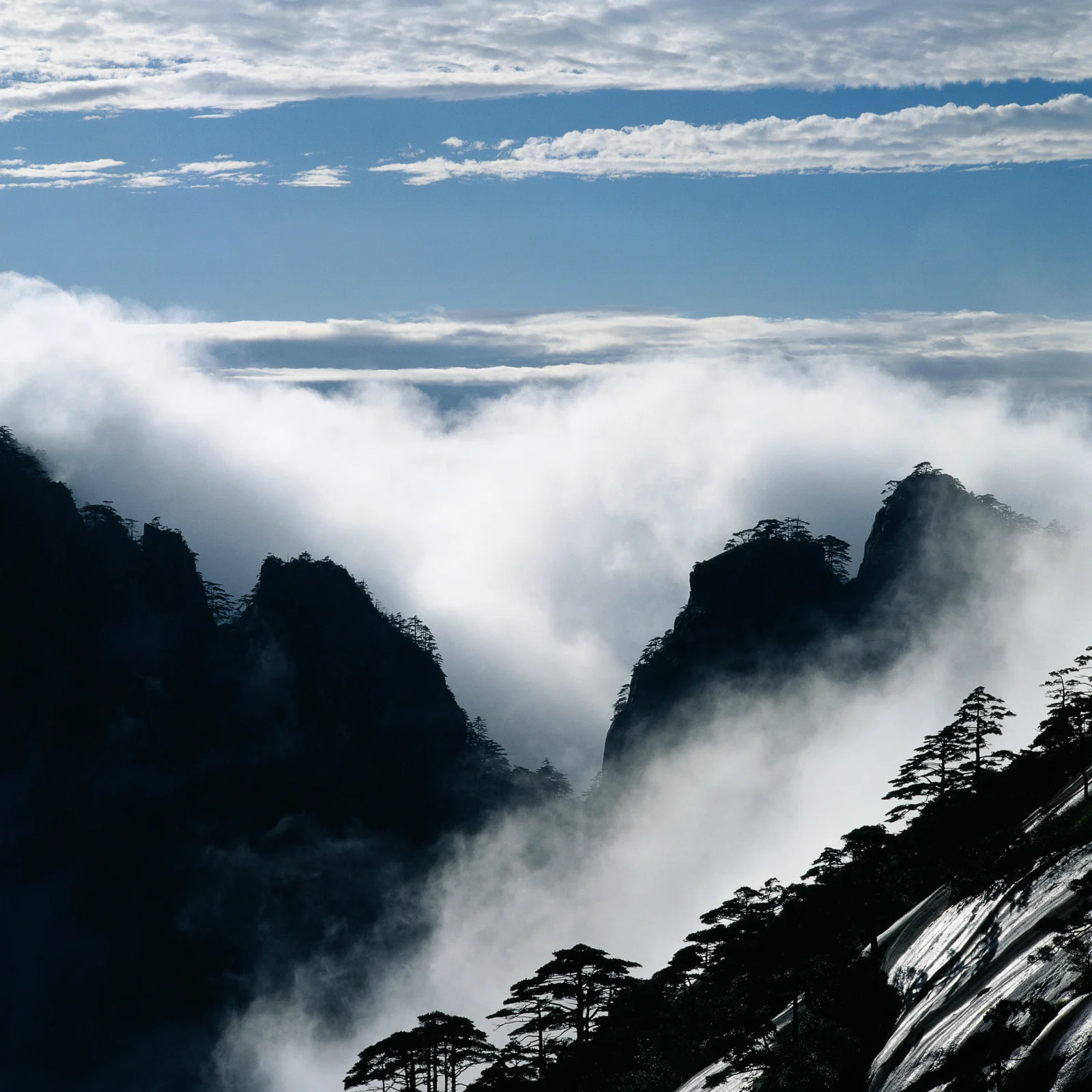群山与松树被浓雾笼罩，背景是蓝天和层叠云层。