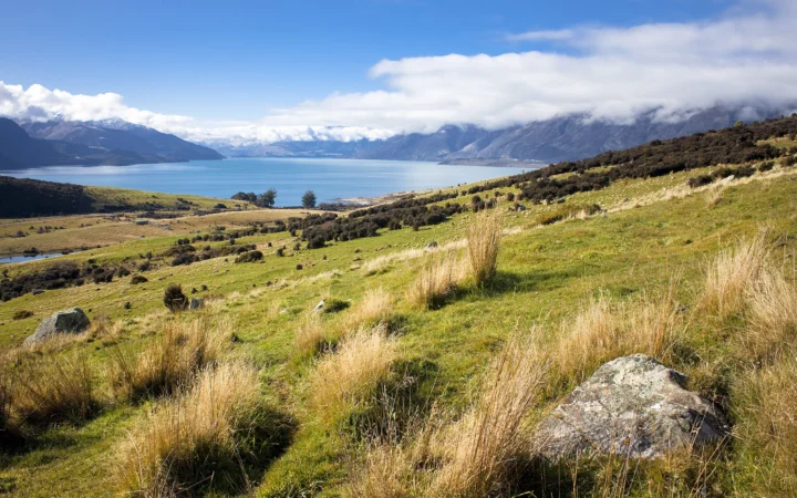 阳光照耀的山坡草地延伸至宁静湖泊，远处群山被云雾环绕。
