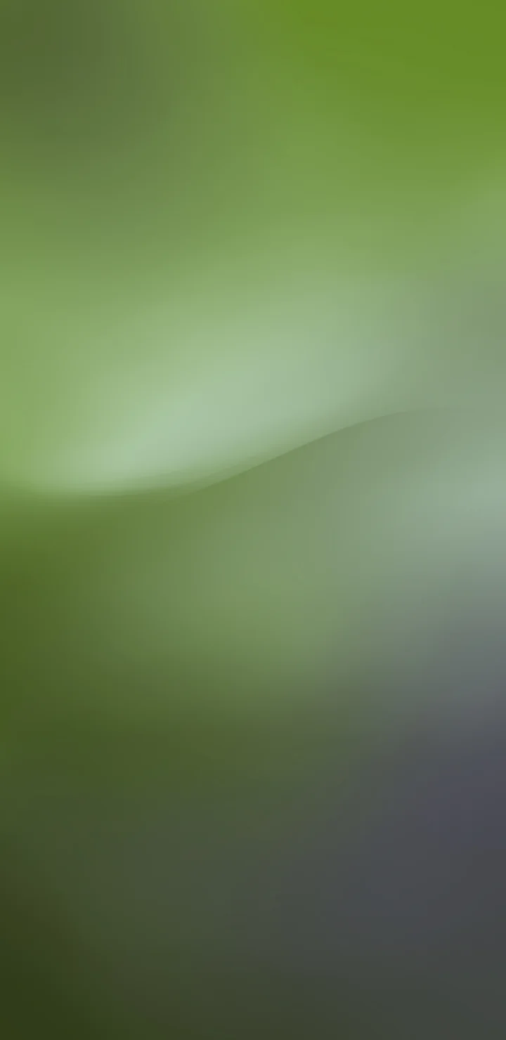 画面呈现绿色与灰色交融的柔和抽象渐变光影。