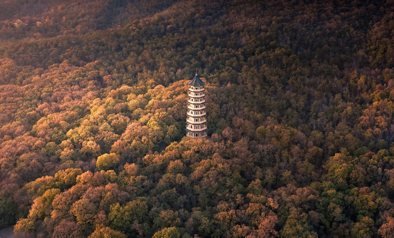 一座多层 pagoda 坐落在秋色浓郁的森林山坡中央。