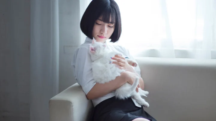 한 여성이 밝은 창가에 앉아 복슬복슬한 흰 고양이를 안고 있다.