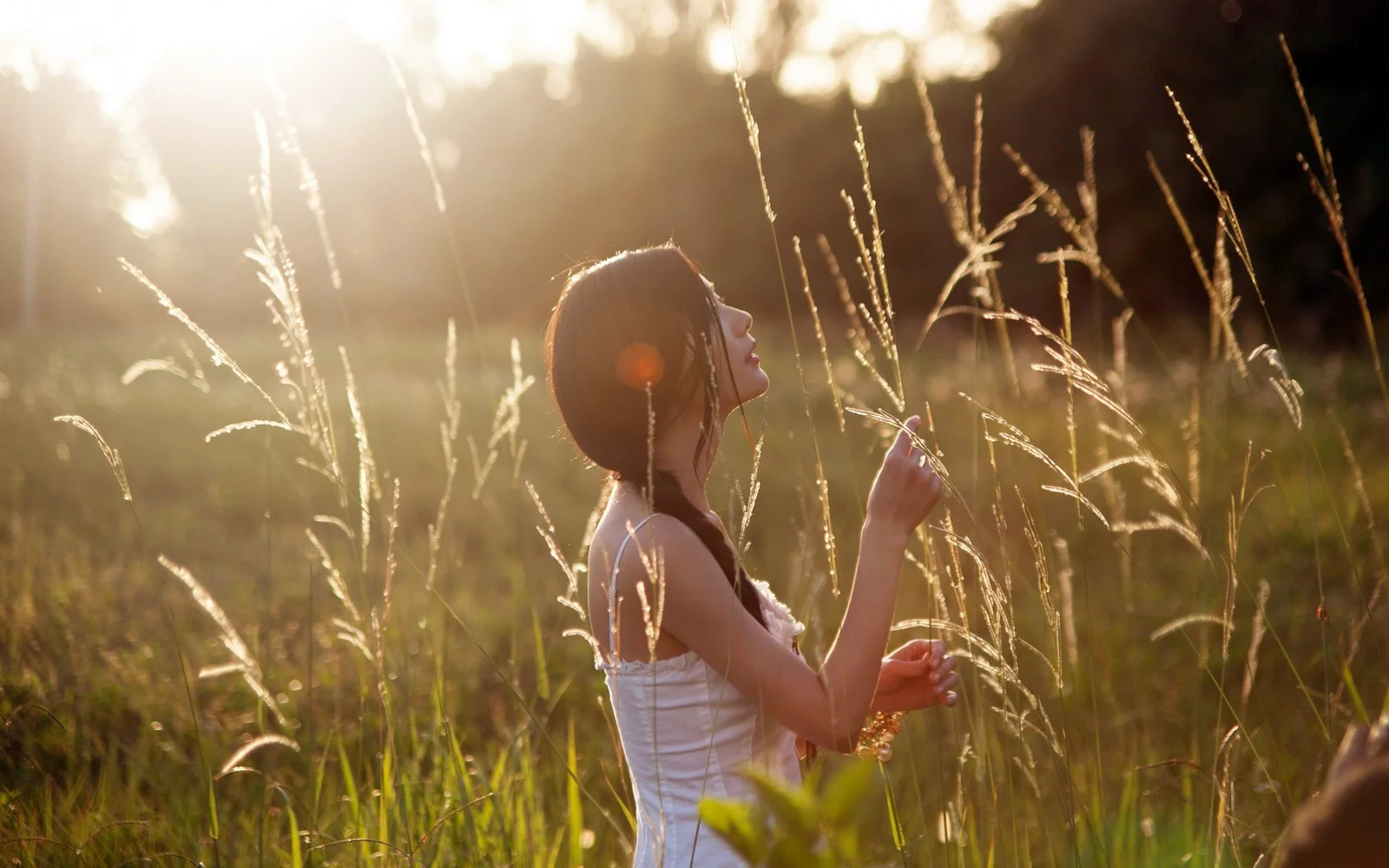 女性が夕日に照らされた背の高い草の中で、横顔を見せながら空を見上げている。