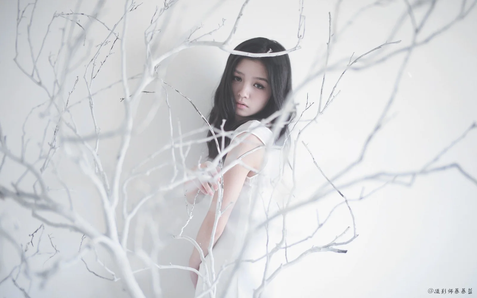 白い服を着た女性が淡い裸の枝々の間に立っている。