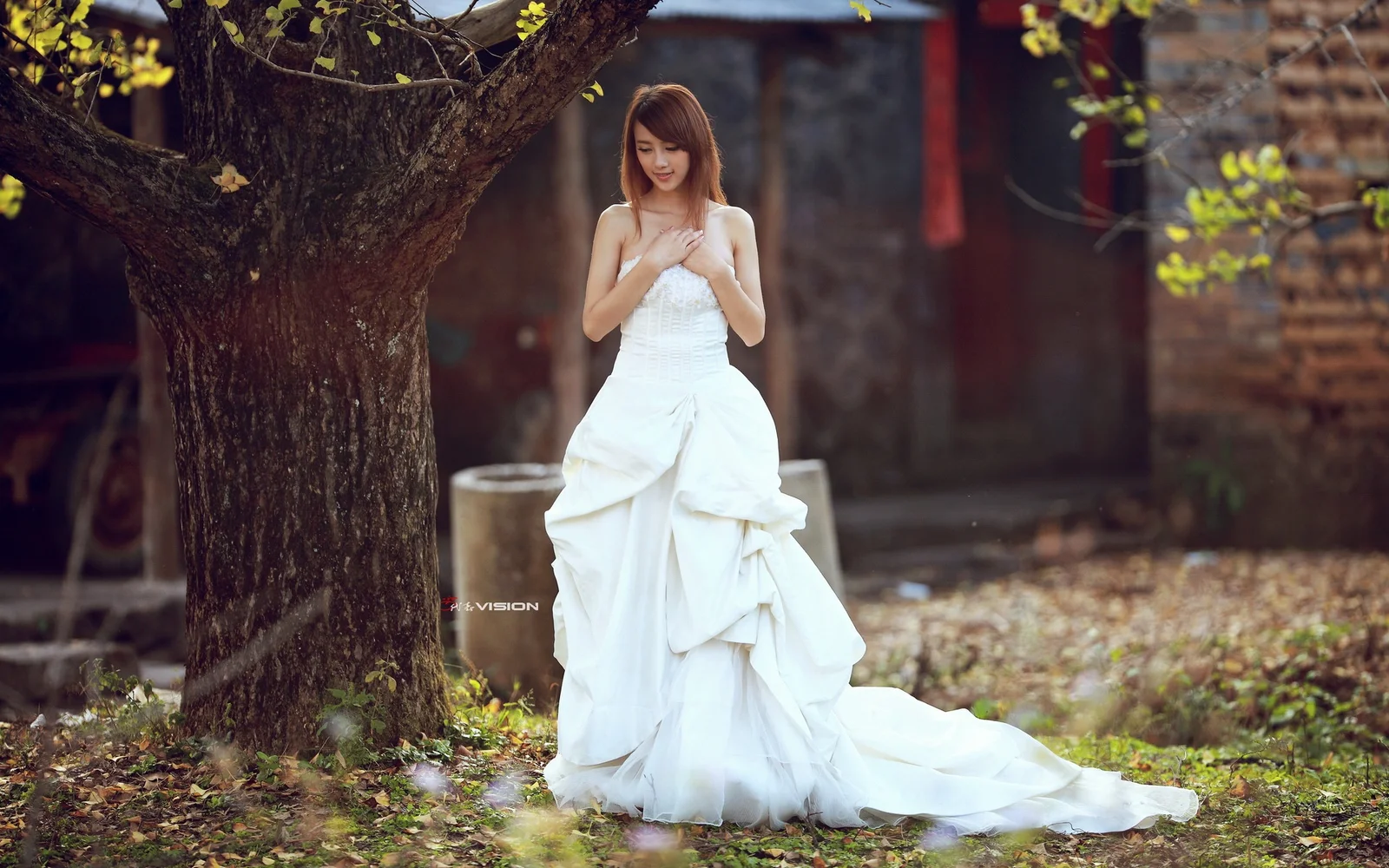 白いウェディングドレスを着た女性が木の下の中庭に立っています。