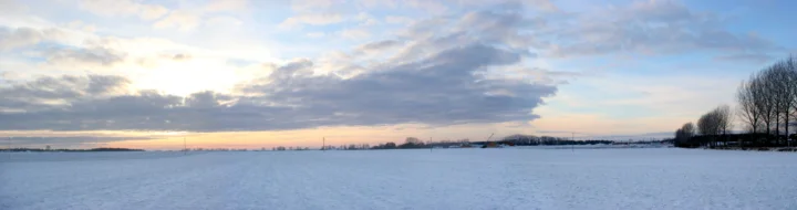 夕阳映照着开阔的积雪平原，远处地平线和右侧树木构成宁静的冬日全景。