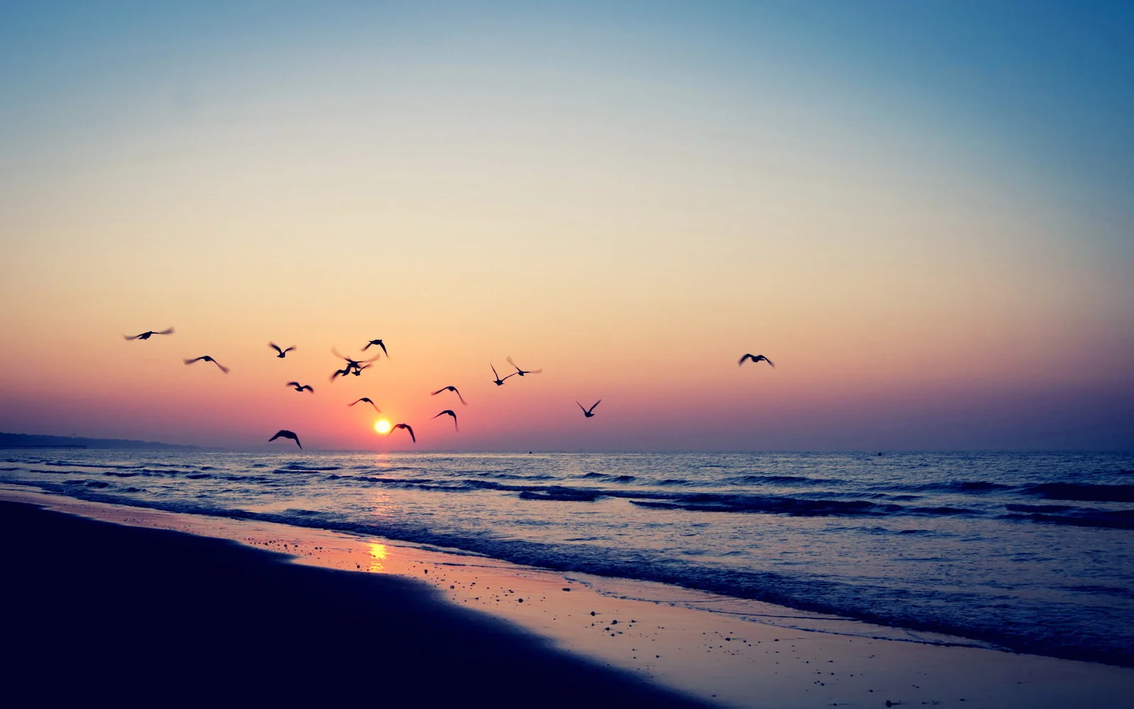 夕阳落在海平线上，海浪轻拍沙滩，天空中飞过几只鸟。