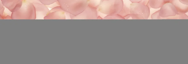 画面上方排列着柔和的粉色花瓣，下方是大面积灰色背景。