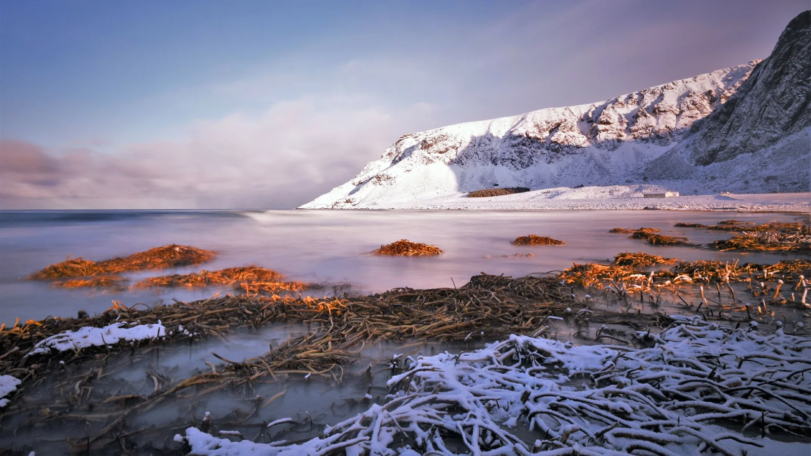 积雪覆盖的山坡俯临平静海岸，前景散落着覆雪的漂流木和海藻。