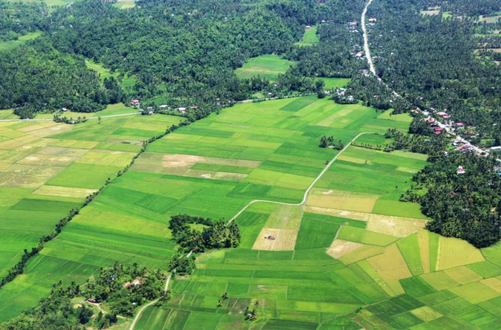 航拍画面展现了大片绿色稻田、农田、林地、乡村住宅和蜿蜒道路。