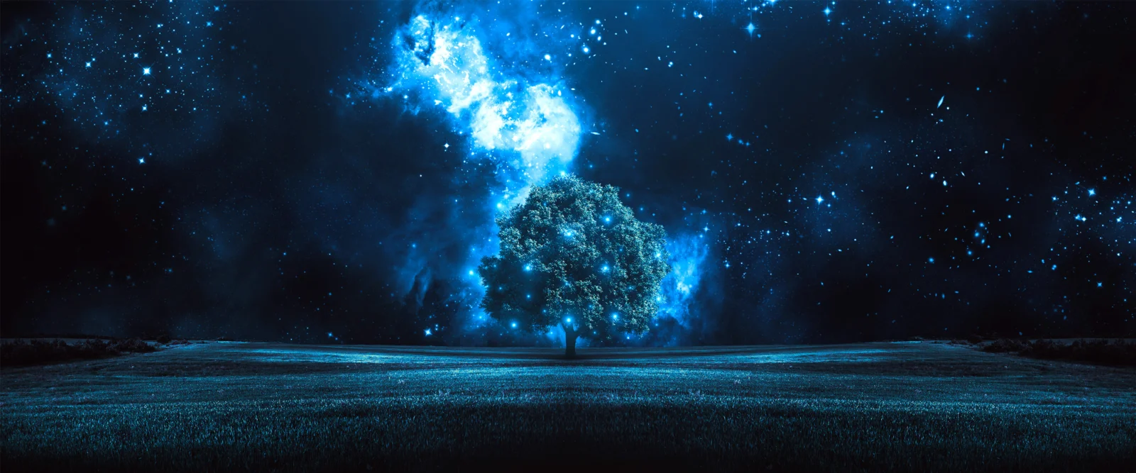 蓝色星云和繁星点缀的夜空下，一棵树矗立在开阔的深色原野中。