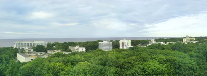 茂密的绿色森林延伸至海岸，远处可见海面和零散建筑，天空被云层覆盖。