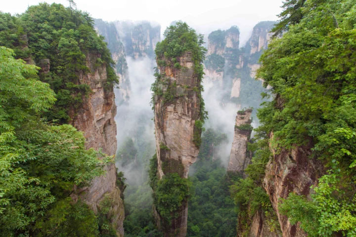 云雾穿行于高耸的岩石峰柱和茂密森林之间。