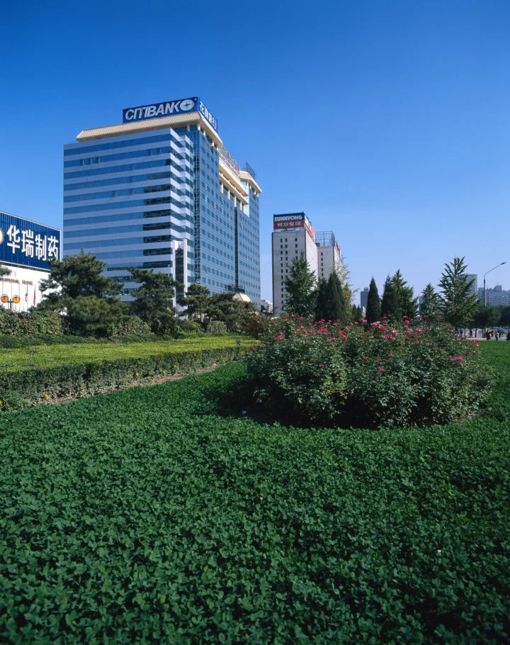 蓝天下的城市建筑矗立在繁茂的花园和花坛后方。