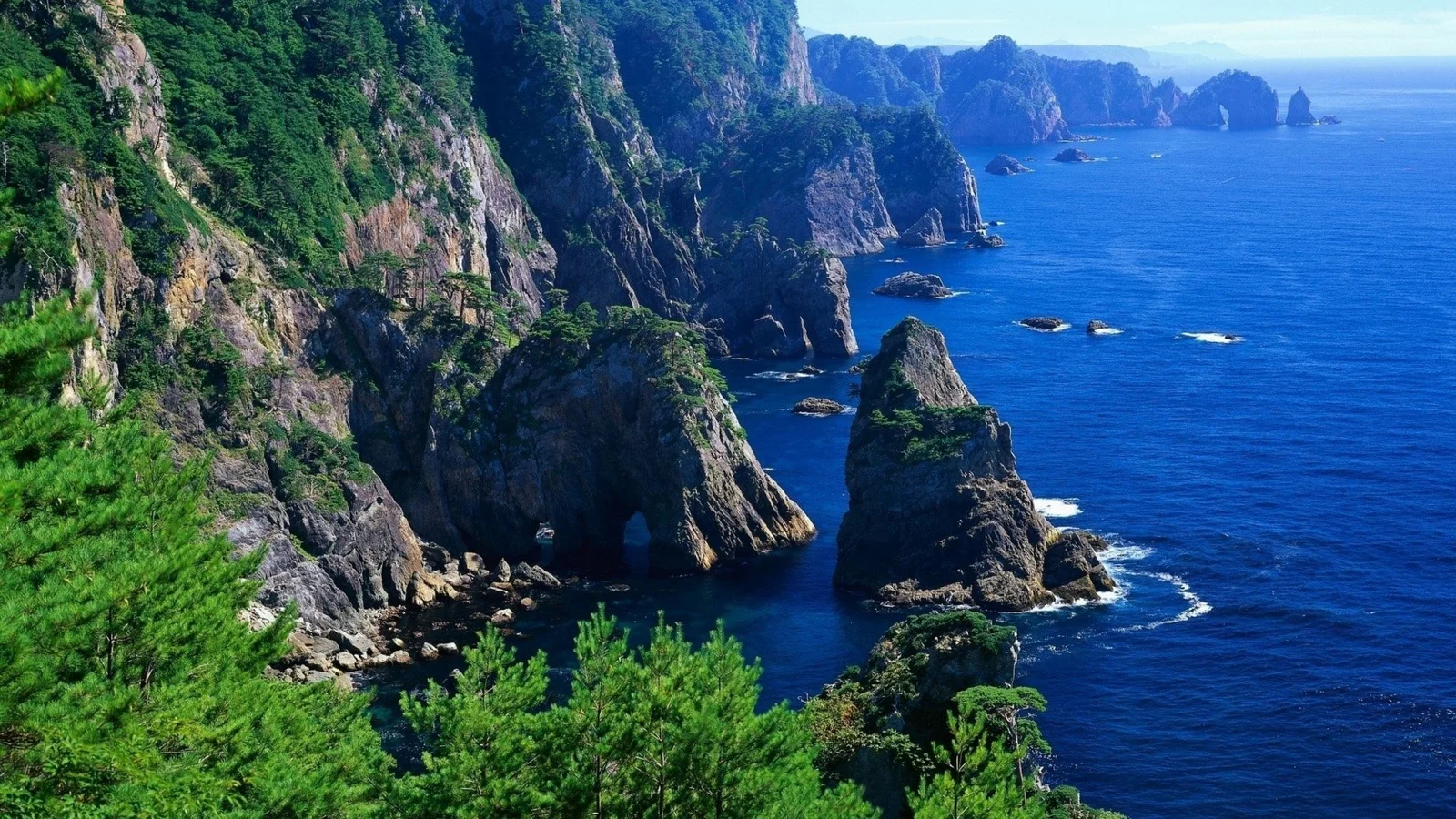 鬱鬱蔥蔥的森林覆蓋著陡峭的海岸懸崖，延伸至湛藍海面和遠處的岩石海灣。
