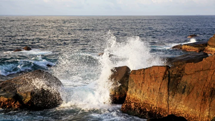 海浪在阳光下冲击着岩石海岸，远处延伸着平静的海平线。