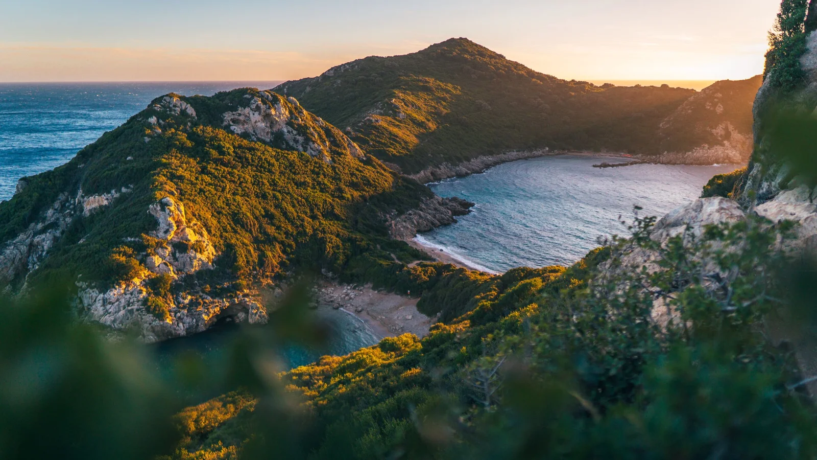 夕阳照耀下的海岸山脉环抱着宁静的海湾，前景点缀着茂密植被。