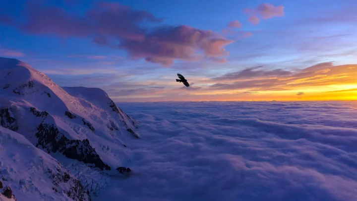 夕阳映照下的雪山与云海构成壮丽的自然景色。