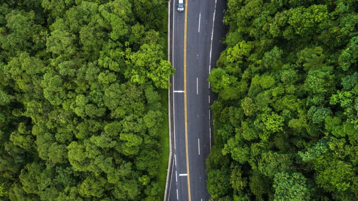 俯拍视角下，一条公路穿过茂密的绿色森林。