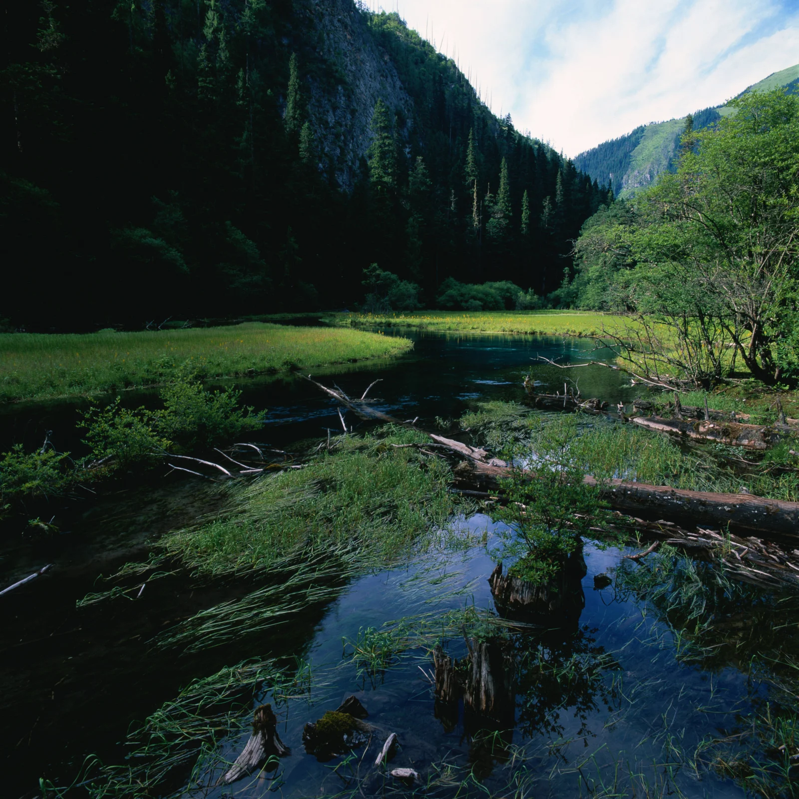 山谷中的森林、草地与清澈溪流构成宁静的自然风景。